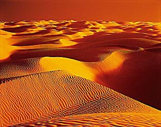 数据挖掘发现索尼或将推出PC版PlayStation奖杯